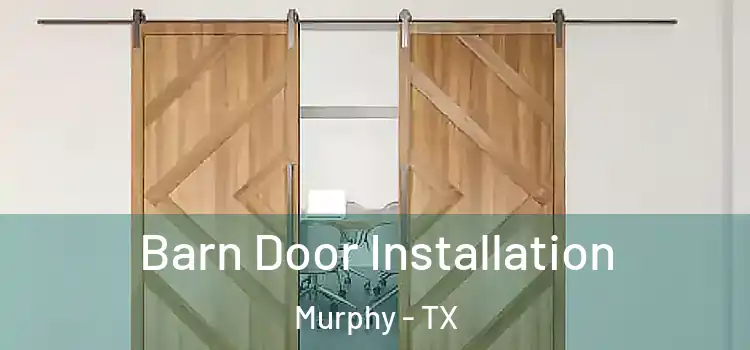  Barn Door Installation Murphy - TX