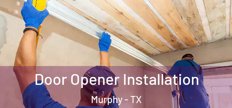  Door Opener Installation Murphy - TX