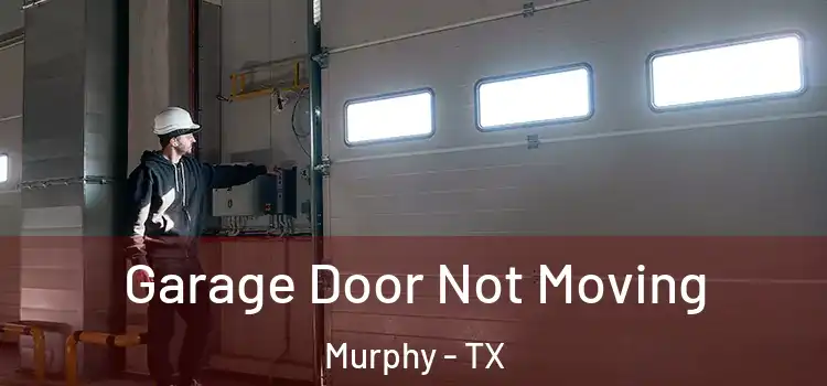  Garage Door Not Moving Murphy - TX
