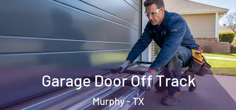  Garage Door Off Track Murphy - TX