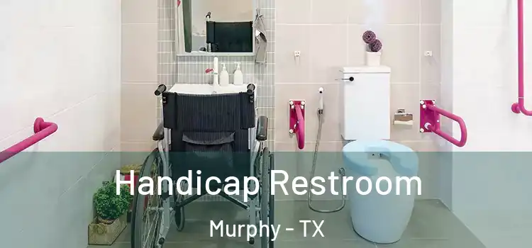  Handicap Restroom Murphy - TX