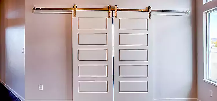 Glass Barn Door with Installation Hardware Kit Murphy