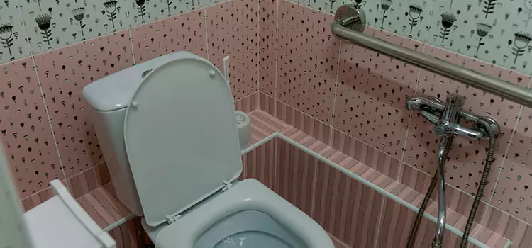 Meeting Diverse Needs With Accessible Restroom Solutions in Murphy, TX